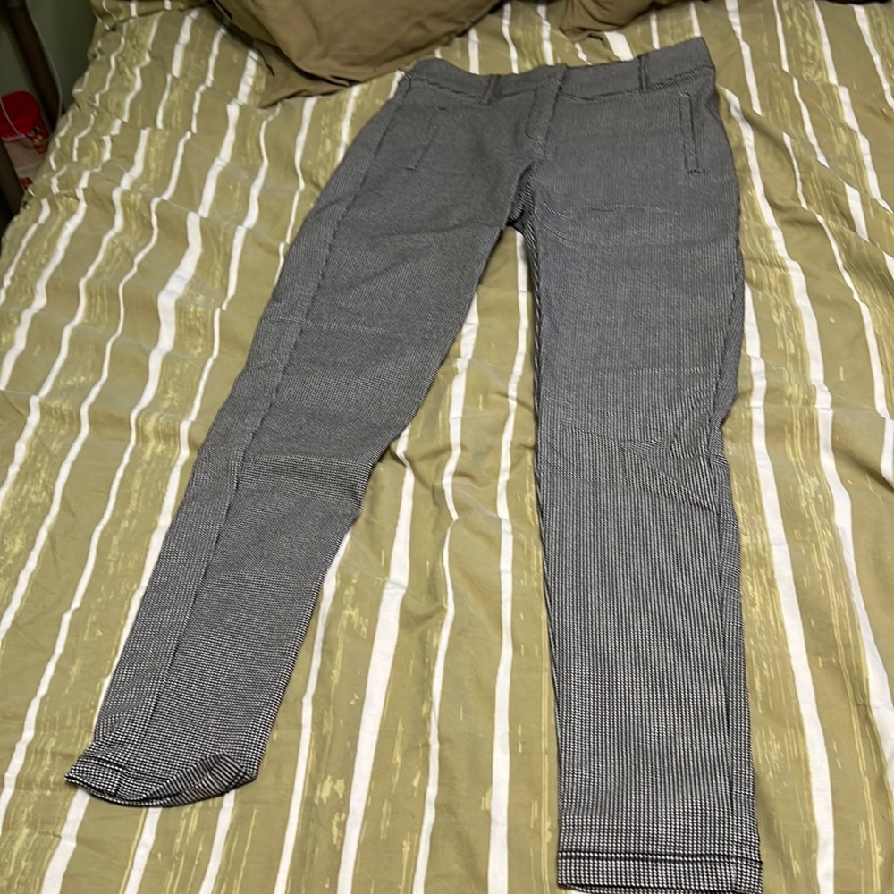 Dressy Leggings